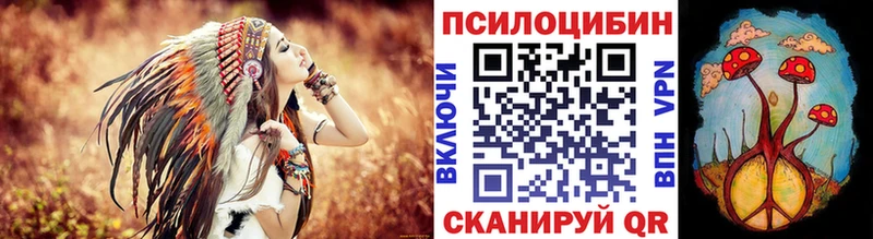 цены наркотик  Качканар  Галлюциногенные грибы Magic Shrooms 