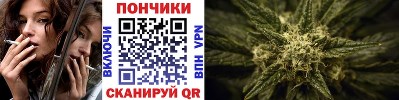 где можно купить   Качканар  МАРИХУАНА SATIVA & INDICA 